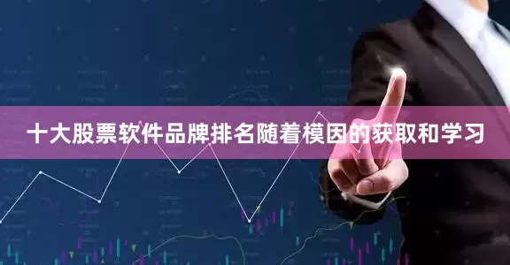 十大股票软件品牌排名随着模因的获取和学习