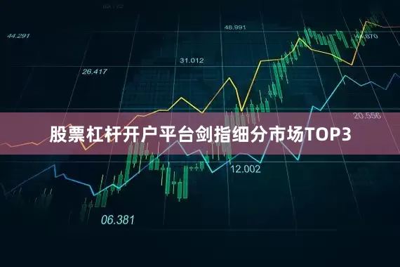 股票杠杆开户平台剑指细分市场TOP3