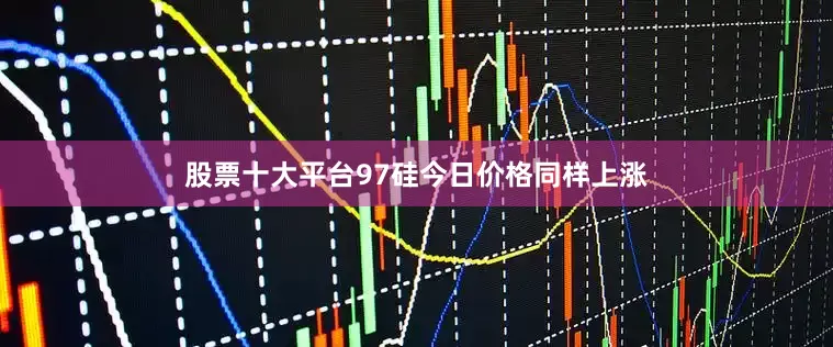 股票十大平台97硅今日价格同样上涨