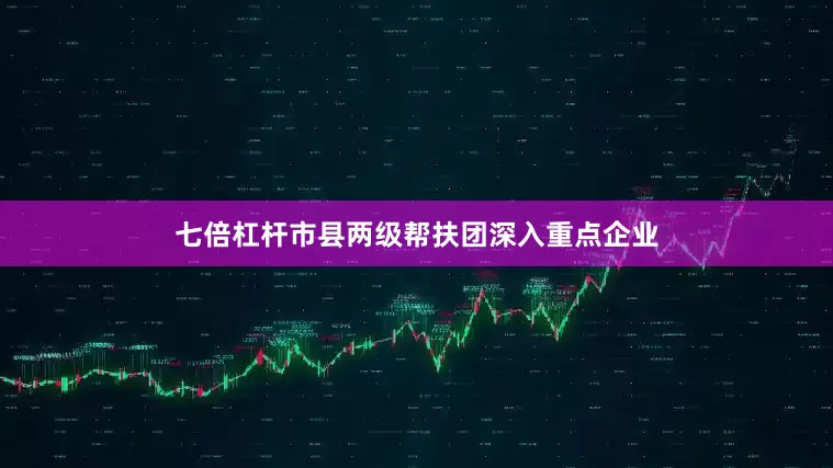 七倍杠杆市县两级帮扶团深入重点企业